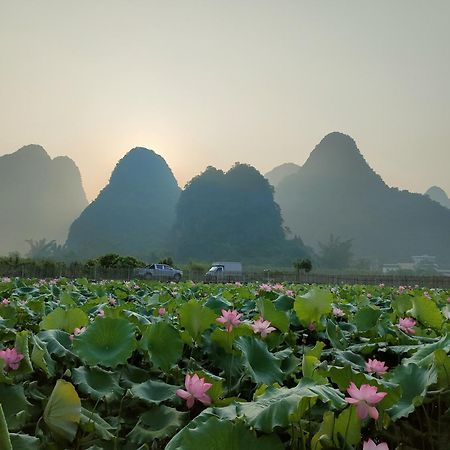 Gasthaus Yangshuo Tea Cozy--One Way Free Pick Up From Airport Or Ts 4 Nights Exterior foto