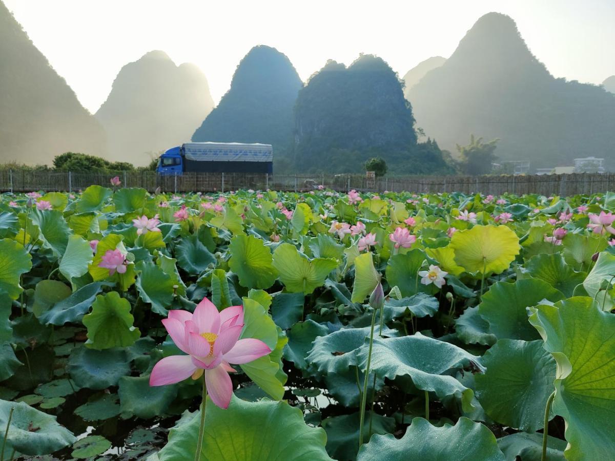 Gasthaus Yangshuo Tea Cozy--One Way Free Pick Up From Airport Or Ts 4 Nights Exterior foto